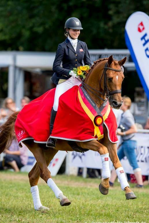 Litvinenko Sjælstofte, trakehner bundeschampionat 2016